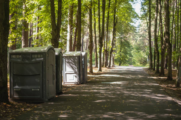 Best Sanitation services for porta potties  in Mounds View, MN